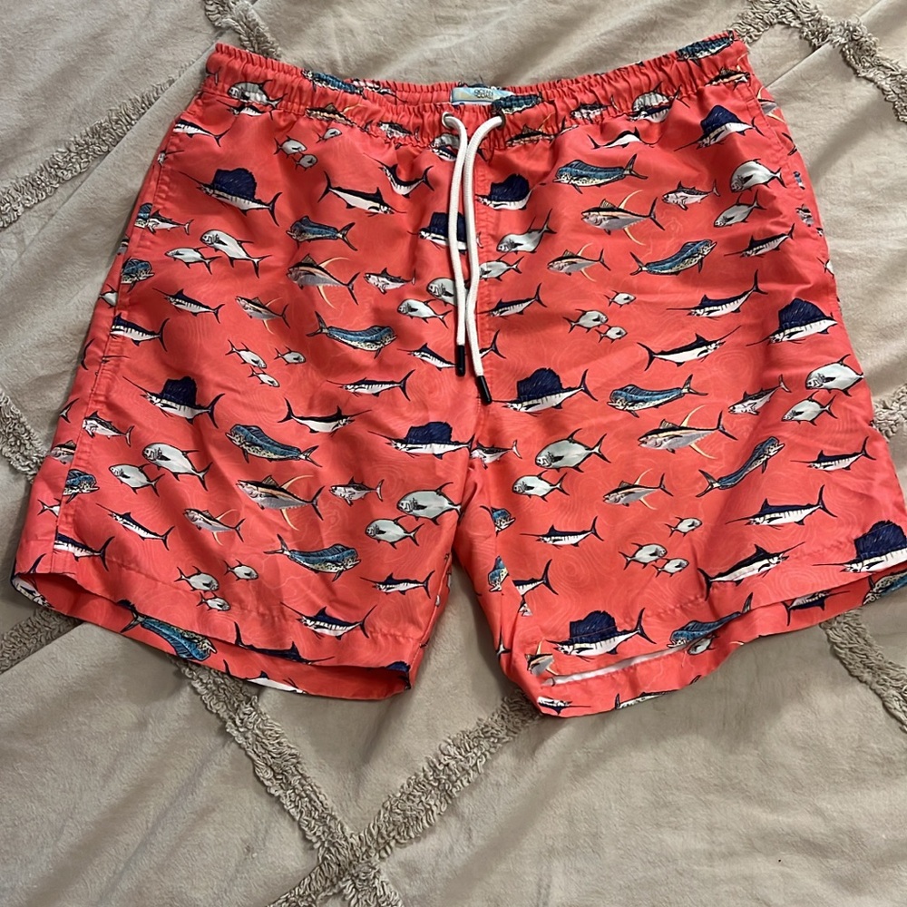 Ocean Coast Men’s swim trunks